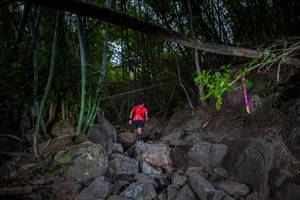 BIB: 
                            <button type="button" onclick="openModal(13681076)" class="btn btn-primary btn-sm float-right btn-popup" data-toggle="modal" data-target=".modal-high-quality">
                        <i class="fas fa-shopping-cart"></i> Add to Cart
                    </button>
                                            <button type="button" onclick="isThisMe(13681076, true)" class="btn btn-success btn-sm float-right btn-popup btn-isme hidden" data-toggle="tooltip" data-placement="bottom" title="นี่คือรูปของคุณใช่ไหม คลิกที่นี่เพื่อเอาเข้าอัลบั้ม">
                        <i class="fas fa-plus"></i> Add to album
                    </button>
                    <button type="button" onclick="isThisMe(13681076, false)" class="btn btn-warning btn-sm float-right btn-popup btn-isnotme hidden">
                        <i class="fas fa-ban"></i> Remove from album
                    </button>