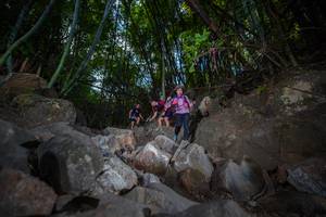 BIB: 
                            <button type="button" onclick="openModal(13699024)" class="btn btn-primary btn-sm float-right btn-popup" data-toggle="modal" data-target=".modal-high-quality">
                        <i class="fas fa-shopping-cart"></i> Add to Cart
                    </button>
                                            <button type="button" onclick="isThisMe(13699024, true)" class="btn btn-success btn-sm float-right btn-popup btn-isme hidden" data-toggle="tooltip" data-placement="bottom" title="นี่คือรูปของคุณใช่ไหม คลิกที่นี่เพื่อเอาเข้าอัลบั้ม">
                        <i class="fas fa-plus"></i> Add to album
                    </button>
                    <button type="button" onclick="isThisMe(13699024, false)" class="btn btn-warning btn-sm float-right btn-popup btn-isnotme hidden">
                        <i class="fas fa-ban"></i> Remove from album
                    </button>