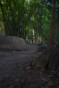 BIB: 
                            <button type="button" onclick="openModal(13659472)" class="btn btn-primary btn-sm float-right btn-popup" data-toggle="modal" data-target=".modal-high-quality">
                        <i class="fas fa-shopping-cart"></i> Add to Cart
                    </button>
                                            <button type="button" onclick="isThisMe(13659472, true)" class="btn btn-success btn-sm float-right btn-popup btn-isme hidden" data-toggle="tooltip" data-placement="bottom" title="นี่คือรูปของคุณใช่ไหม คลิกที่นี่เพื่อเอาเข้าอัลบั้ม">
                        <i class="fas fa-plus"></i> Add to album
                    </button>
                    <button type="button" onclick="isThisMe(13659472, false)" class="btn btn-warning btn-sm float-right btn-popup btn-isnotme hidden">
                        <i class="fas fa-ban"></i> Remove from album
                    </button>