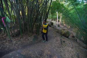 BIB: 
                            <button type="button" onclick="openModal(13659369)" class="btn btn-primary btn-sm float-right btn-popup" data-toggle="modal" data-target=".modal-high-quality">
                        <i class="fas fa-shopping-cart"></i> Add to Cart
                    </button>
                                            <button type="button" onclick="isThisMe(13659369, true)" class="btn btn-success btn-sm float-right btn-popup btn-isme hidden" data-toggle="tooltip" data-placement="bottom" title="นี่คือรูปของคุณใช่ไหม คลิกที่นี่เพื่อเอาเข้าอัลบั้ม">
                        <i class="fas fa-plus"></i> Add to album
                    </button>
                    <button type="button" onclick="isThisMe(13659369, false)" class="btn btn-warning btn-sm float-right btn-popup btn-isnotme hidden">
                        <i class="fas fa-ban"></i> Remove from album
                    </button>