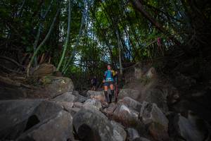 BIB: 
                            <button type="button" onclick="openModal(13698954)" class="btn btn-primary btn-sm float-right btn-popup" data-toggle="modal" data-target=".modal-high-quality">
                        <i class="fas fa-shopping-cart"></i> Add to Cart
                    </button>
                                            <button type="button" onclick="isThisMe(13698954, true)" class="btn btn-success btn-sm float-right btn-popup btn-isme hidden" data-toggle="tooltip" data-placement="bottom" title="นี่คือรูปของคุณใช่ไหม คลิกที่นี่เพื่อเอาเข้าอัลบั้ม">
                        <i class="fas fa-plus"></i> Add to album
                    </button>
                    <button type="button" onclick="isThisMe(13698954, false)" class="btn btn-warning btn-sm float-right btn-popup btn-isnotme hidden">
                        <i class="fas fa-ban"></i> Remove from album
                    </button>