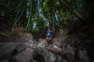 BIB: 
                            <button type="button" onclick="openModal(13698948)" class="btn btn-primary btn-sm float-right btn-popup" data-toggle="modal" data-target=".modal-high-quality">
                        <i class="fas fa-shopping-cart"></i> Add to Cart
                    </button>
                                            <button type="button" onclick="isThisMe(13698948, true)" class="btn btn-success btn-sm float-right btn-popup btn-isme hidden" data-toggle="tooltip" data-placement="bottom" title="นี่คือรูปของคุณใช่ไหม คลิกที่นี่เพื่อเอาเข้าอัลบั้ม">
                        <i class="fas fa-plus"></i> Add to album
                    </button>
                    <button type="button" onclick="isThisMe(13698948, false)" class="btn btn-warning btn-sm float-right btn-popup btn-isnotme hidden">
                        <i class="fas fa-ban"></i> Remove from album
                    </button>