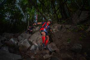 BIB: 
                            <button type="button" onclick="openModal(13695132)" class="btn btn-primary btn-sm float-right btn-popup" data-toggle="modal" data-target=".modal-high-quality">
                        <i class="fas fa-shopping-cart"></i> Add to Cart
                    </button>
                                            <button type="button" onclick="isThisMe(13695132, true)" class="btn btn-success btn-sm float-right btn-popup btn-isme hidden" data-toggle="tooltip" data-placement="bottom" title="นี่คือรูปของคุณใช่ไหม คลิกที่นี่เพื่อเอาเข้าอัลบั้ม">
                        <i class="fas fa-plus"></i> Add to album
                    </button>
                    <button type="button" onclick="isThisMe(13695132, false)" class="btn btn-warning btn-sm float-right btn-popup btn-isnotme hidden">
                        <i class="fas fa-ban"></i> Remove from album
                    </button>