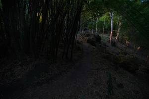 BIB: 
                            <button type="button" onclick="openModal(13659382)" class="btn btn-primary btn-sm float-right btn-popup" data-toggle="modal" data-target=".modal-high-quality">
                        <i class="fas fa-shopping-cart"></i> Add to Cart
                    </button>
                                            <button type="button" onclick="isThisMe(13659382, true)" class="btn btn-success btn-sm float-right btn-popup btn-isme hidden" data-toggle="tooltip" data-placement="bottom" title="นี่คือรูปของคุณใช่ไหม คลิกที่นี่เพื่อเอาเข้าอัลบั้ม">
                        <i class="fas fa-plus"></i> Add to album
                    </button>
                    <button type="button" onclick="isThisMe(13659382, false)" class="btn btn-warning btn-sm float-right btn-popup btn-isnotme hidden">
                        <i class="fas fa-ban"></i> Remove from album
                    </button>