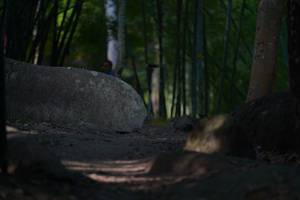 BIB: 
                            <button type="button" onclick="openModal(13659567)" class="btn btn-primary btn-sm float-right btn-popup" data-toggle="modal" data-target=".modal-high-quality">
                        <i class="fas fa-shopping-cart"></i> Add to Cart
                    </button>
                                            <button type="button" onclick="isThisMe(13659567, true)" class="btn btn-success btn-sm float-right btn-popup btn-isme hidden" data-toggle="tooltip" data-placement="bottom" title="นี่คือรูปของคุณใช่ไหม คลิกที่นี่เพื่อเอาเข้าอัลบั้ม">
                        <i class="fas fa-plus"></i> Add to album
                    </button>
                    <button type="button" onclick="isThisMe(13659567, false)" class="btn btn-warning btn-sm float-right btn-popup btn-isnotme hidden">
                        <i class="fas fa-ban"></i> Remove from album
                    </button>