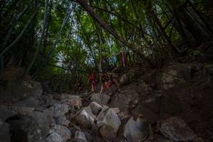 BIB: 
                            <button type="button" onclick="openModal(13697760)" class="btn btn-primary btn-sm float-right btn-popup" data-toggle="modal" data-target=".modal-high-quality">
                        <i class="fas fa-shopping-cart"></i> Add to Cart
                    </button>
                                            <button type="button" onclick="isThisMe(13697760, true)" class="btn btn-success btn-sm float-right btn-popup btn-isme hidden" data-toggle="tooltip" data-placement="bottom" title="นี่คือรูปของคุณใช่ไหม คลิกที่นี่เพื่อเอาเข้าอัลบั้ม">
                        <i class="fas fa-plus"></i> Add to album
                    </button>
                    <button type="button" onclick="isThisMe(13697760, false)" class="btn btn-warning btn-sm float-right btn-popup btn-isnotme hidden">
                        <i class="fas fa-ban"></i> Remove from album
                    </button>