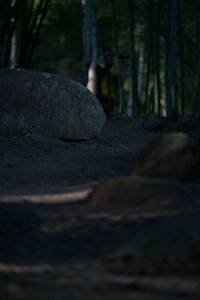 BIB: 
                            <button type="button" onclick="openModal(13659473)" class="btn btn-primary btn-sm float-right btn-popup" data-toggle="modal" data-target=".modal-high-quality">
                        <i class="fas fa-shopping-cart"></i> Add to Cart
                    </button>
                                            <button type="button" onclick="isThisMe(13659473, true)" class="btn btn-success btn-sm float-right btn-popup btn-isme hidden" data-toggle="tooltip" data-placement="bottom" title="นี่คือรูปของคุณใช่ไหม คลิกที่นี่เพื่อเอาเข้าอัลบั้ม">
                        <i class="fas fa-plus"></i> Add to album
                    </button>
                    <button type="button" onclick="isThisMe(13659473, false)" class="btn btn-warning btn-sm float-right btn-popup btn-isnotme hidden">
                        <i class="fas fa-ban"></i> Remove from album
                    </button>