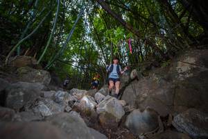 BIB: 
                            <button type="button" onclick="openModal(13698424)" class="btn btn-primary btn-sm float-right btn-popup" data-toggle="modal" data-target=".modal-high-quality">
                        <i class="fas fa-shopping-cart"></i> Add to Cart
                    </button>
                                            <button type="button" onclick="isThisMe(13698424, true)" class="btn btn-success btn-sm float-right btn-popup btn-isme hidden" data-toggle="tooltip" data-placement="bottom" title="นี่คือรูปของคุณใช่ไหม คลิกที่นี่เพื่อเอาเข้าอัลบั้ม">
                        <i class="fas fa-plus"></i> Add to album
                    </button>
                    <button type="button" onclick="isThisMe(13698424, false)" class="btn btn-warning btn-sm float-right btn-popup btn-isnotme hidden">
                        <i class="fas fa-ban"></i> Remove from album
                    </button>