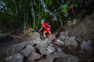 BIB: 
                            <button type="button" onclick="openModal(13693267)" class="btn btn-primary btn-sm float-right btn-popup" data-toggle="modal" data-target=".modal-high-quality">
                        <i class="fas fa-shopping-cart"></i> Add to Cart
                    </button>
                                            <button type="button" onclick="isThisMe(13693267, true)" class="btn btn-success btn-sm float-right btn-popup btn-isme hidden" data-toggle="tooltip" data-placement="bottom" title="นี่คือรูปของคุณใช่ไหม คลิกที่นี่เพื่อเอาเข้าอัลบั้ม">
                        <i class="fas fa-plus"></i> Add to album
                    </button>
                    <button type="button" onclick="isThisMe(13693267, false)" class="btn btn-warning btn-sm float-right btn-popup btn-isnotme hidden">
                        <i class="fas fa-ban"></i> Remove from album
                    </button>