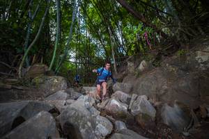 BIB: 
                            <button type="button" onclick="openModal(13697671)" class="btn btn-primary btn-sm float-right btn-popup" data-toggle="modal" data-target=".modal-high-quality">
                        <i class="fas fa-shopping-cart"></i> Add to Cart
                    </button>
                                            <button type="button" onclick="isThisMe(13697671, true)" class="btn btn-success btn-sm float-right btn-popup btn-isme hidden" data-toggle="tooltip" data-placement="bottom" title="นี่คือรูปของคุณใช่ไหม คลิกที่นี่เพื่อเอาเข้าอัลบั้ม">
                        <i class="fas fa-plus"></i> Add to album
                    </button>
                    <button type="button" onclick="isThisMe(13697671, false)" class="btn btn-warning btn-sm float-right btn-popup btn-isnotme hidden">
                        <i class="fas fa-ban"></i> Remove from album
                    </button>