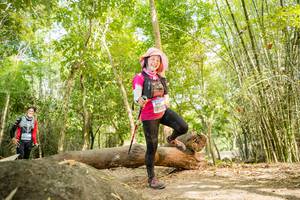 BIB: 
                            <button type="button" onclick="openModal(13694913)" class="btn btn-primary btn-sm float-right btn-popup" data-toggle="modal" data-target=".modal-high-quality">
                        <i class="fas fa-shopping-cart"></i> Add to Cart
                    </button>
                                            <button type="button" onclick="isThisMe(13694913, true)" class="btn btn-success btn-sm float-right btn-popup btn-isme hidden" data-toggle="tooltip" data-placement="bottom" title="นี่คือรูปของคุณใช่ไหม คลิกที่นี่เพื่อเอาเข้าอัลบั้ม">
                        <i class="fas fa-plus"></i> Add to album
                    </button>
                    <button type="button" onclick="isThisMe(13694913, false)" class="btn btn-warning btn-sm float-right btn-popup btn-isnotme hidden">
                        <i class="fas fa-ban"></i> Remove from album
                    </button>