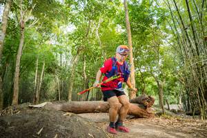 BIB: 
                            <button type="button" onclick="openModal(13694995)" class="btn btn-primary btn-sm float-right btn-popup" data-toggle="modal" data-target=".modal-high-quality">
                        <i class="fas fa-shopping-cart"></i> Add to Cart
                    </button>
                                            <button type="button" onclick="isThisMe(13694995, true)" class="btn btn-success btn-sm float-right btn-popup btn-isme hidden" data-toggle="tooltip" data-placement="bottom" title="นี่คือรูปของคุณใช่ไหม คลิกที่นี่เพื่อเอาเข้าอัลบั้ม">
                        <i class="fas fa-plus"></i> Add to album
                    </button>
                    <button type="button" onclick="isThisMe(13694995, false)" class="btn btn-warning btn-sm float-right btn-popup btn-isnotme hidden">
                        <i class="fas fa-ban"></i> Remove from album
                    </button>