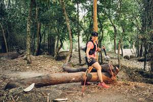 BIB: 
                            <button type="button" onclick="openModal(13695041)" class="btn btn-primary btn-sm float-right btn-popup" data-toggle="modal" data-target=".modal-high-quality">
                        <i class="fas fa-shopping-cart"></i> Add to Cart
                    </button>
                                            <button type="button" onclick="isThisMe(13695041, true)" class="btn btn-success btn-sm float-right btn-popup btn-isme hidden" data-toggle="tooltip" data-placement="bottom" title="นี่คือรูปของคุณใช่ไหม คลิกที่นี่เพื่อเอาเข้าอัลบั้ม">
                        <i class="fas fa-plus"></i> Add to album
                    </button>
                    <button type="button" onclick="isThisMe(13695041, false)" class="btn btn-warning btn-sm float-right btn-popup btn-isnotme hidden">
                        <i class="fas fa-ban"></i> Remove from album
                    </button>