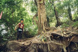 BIB: 
                            <button type="button" onclick="openModal(13635431)" class="btn btn-primary btn-sm float-right btn-popup" data-toggle="modal" data-target=".modal-high-quality">
                        <i class="fas fa-shopping-cart"></i> Add to Cart
                    </button>
                                            <button type="button" onclick="isThisMe(13635431, true)" class="btn btn-success btn-sm float-right btn-popup btn-isme hidden" data-toggle="tooltip" data-placement="bottom" title="นี่คือรูปของคุณใช่ไหม คลิกที่นี่เพื่อเอาเข้าอัลบั้ม">
                        <i class="fas fa-plus"></i> Add to album
                    </button>
                    <button type="button" onclick="isThisMe(13635431, false)" class="btn btn-warning btn-sm float-right btn-popup btn-isnotme hidden">
                        <i class="fas fa-ban"></i> Remove from album
                    </button>