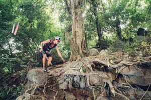 BIB: 
                            <button type="button" onclick="openModal(13632396)" class="btn btn-primary btn-sm float-right btn-popup" data-toggle="modal" data-target=".modal-high-quality">
                        <i class="fas fa-shopping-cart"></i> Add to Cart
                    </button>
                                            <button type="button" onclick="isThisMe(13632396, true)" class="btn btn-success btn-sm float-right btn-popup btn-isme hidden" data-toggle="tooltip" data-placement="bottom" title="นี่คือรูปของคุณใช่ไหม คลิกที่นี่เพื่อเอาเข้าอัลบั้ม">
                        <i class="fas fa-plus"></i> Add to album
                    </button>
                    <button type="button" onclick="isThisMe(13632396, false)" class="btn btn-warning btn-sm float-right btn-popup btn-isnotme hidden">
                        <i class="fas fa-ban"></i> Remove from album
                    </button>