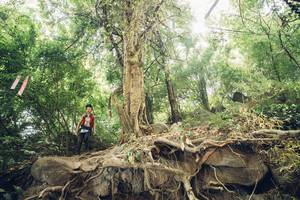 BIB: 
                            <button type="button" onclick="openModal(13635425)" class="btn btn-primary btn-sm float-right btn-popup" data-toggle="modal" data-target=".modal-high-quality">
                        <i class="fas fa-shopping-cart"></i> Add to Cart
                    </button>
                                            <button type="button" onclick="isThisMe(13635425, true)" class="btn btn-success btn-sm float-right btn-popup btn-isme hidden" data-toggle="tooltip" data-placement="bottom" title="นี่คือรูปของคุณใช่ไหม คลิกที่นี่เพื่อเอาเข้าอัลบั้ม">
                        <i class="fas fa-plus"></i> Add to album
                    </button>
                    <button type="button" onclick="isThisMe(13635425, false)" class="btn btn-warning btn-sm float-right btn-popup btn-isnotme hidden">
                        <i class="fas fa-ban"></i> Remove from album
                    </button>