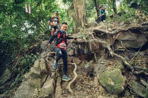 BIB: 
                            <button type="button" onclick="openModal(13635634)" class="btn btn-primary btn-sm float-right btn-popup" data-toggle="modal" data-target=".modal-high-quality">
                        <i class="fas fa-shopping-cart"></i> Add to Cart
                    </button>
                                            <button type="button" onclick="isThisMe(13635634, true)" class="btn btn-success btn-sm float-right btn-popup btn-isme hidden" data-toggle="tooltip" data-placement="bottom" title="นี่คือรูปของคุณใช่ไหม คลิกที่นี่เพื่อเอาเข้าอัลบั้ม">
                        <i class="fas fa-plus"></i> Add to album
                    </button>
                    <button type="button" onclick="isThisMe(13635634, false)" class="btn btn-warning btn-sm float-right btn-popup btn-isnotme hidden">
                        <i class="fas fa-ban"></i> Remove from album
                    </button>