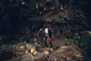 BIB: 
                            <button type="button" onclick="openModal(13534325)" class="btn btn-primary btn-sm float-right btn-popup" data-toggle="modal" data-target=".modal-high-quality">
                        <i class="fas fa-shopping-cart"></i> Add to Cart
                    </button>
                                            <button type="button" onclick="isThisMe(13534325, true)" class="btn btn-success btn-sm float-right btn-popup btn-isme hidden" data-toggle="tooltip" data-placement="bottom" title="นี่คือรูปของคุณใช่ไหม คลิกที่นี่เพื่อเอาเข้าอัลบั้ม">
                        <i class="fas fa-plus"></i> Add to album
                    </button>
                    <button type="button" onclick="isThisMe(13534325, false)" class="btn btn-warning btn-sm float-right btn-popup btn-isnotme hidden">
                        <i class="fas fa-ban"></i> Remove from album
                    </button>