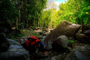 BIB: 
                            <button type="button" onclick="openModal(13623235)" class="btn btn-primary btn-sm float-right btn-popup" data-toggle="modal" data-target=".modal-high-quality">
                        <i class="fas fa-shopping-cart"></i> Add to Cart
                    </button>
                                            <button type="button" onclick="isThisMe(13623235, true)" class="btn btn-success btn-sm float-right btn-popup btn-isme hidden" data-toggle="tooltip" data-placement="bottom" title="นี่คือรูปของคุณใช่ไหม คลิกที่นี่เพื่อเอาเข้าอัลบั้ม">
                        <i class="fas fa-plus"></i> Add to album
                    </button>
                    <button type="button" onclick="isThisMe(13623235, false)" class="btn btn-warning btn-sm float-right btn-popup btn-isnotme hidden">
                        <i class="fas fa-ban"></i> Remove from album
                    </button>