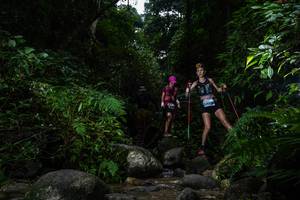 BIB: 
                            <button type="button" onclick="openModal(13646890)" class="btn btn-primary btn-sm float-right btn-popup" data-toggle="modal" data-target=".modal-high-quality">
                        <i class="fas fa-shopping-cart"></i> Add to Cart
                    </button>
                                            <button type="button" onclick="isThisMe(13646890, true)" class="btn btn-success btn-sm float-right btn-popup btn-isme hidden" data-toggle="tooltip" data-placement="bottom" title="นี่คือรูปของคุณใช่ไหม คลิกที่นี่เพื่อเอาเข้าอัลบั้ม">
                        <i class="fas fa-plus"></i> Add to album
                    </button>
                    <button type="button" onclick="isThisMe(13646890, false)" class="btn btn-warning btn-sm float-right btn-popup btn-isnotme hidden">
                        <i class="fas fa-ban"></i> Remove from album
                    </button>