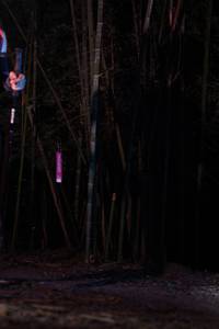 BIB: 
                            <button type="button" onclick="openModal(13690019)" class="btn btn-primary btn-sm float-right btn-popup" data-toggle="modal" data-target=".modal-high-quality">
                        <i class="fas fa-shopping-cart"></i> Add to Cart
                    </button>
                                            <button type="button" onclick="isThisMe(13690019, true)" class="btn btn-success btn-sm float-right btn-popup btn-isme hidden" data-toggle="tooltip" data-placement="bottom" title="นี่คือรูปของคุณใช่ไหม คลิกที่นี่เพื่อเอาเข้าอัลบั้ม">
                        <i class="fas fa-plus"></i> Add to album
                    </button>
                    <button type="button" onclick="isThisMe(13690019, false)" class="btn btn-warning btn-sm float-right btn-popup btn-isnotme hidden">
                        <i class="fas fa-ban"></i> Remove from album
                    </button>