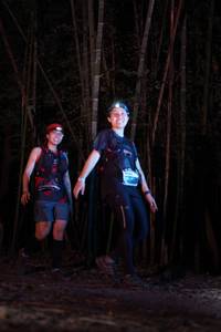 BIB: 
                            <button type="button" onclick="openModal(13690091)" class="btn btn-primary btn-sm float-right btn-popup" data-toggle="modal" data-target=".modal-high-quality">
                        <i class="fas fa-shopping-cart"></i> Add to Cart
                    </button>
                                            <button type="button" onclick="isThisMe(13690091, true)" class="btn btn-success btn-sm float-right btn-popup btn-isme hidden" data-toggle="tooltip" data-placement="bottom" title="นี่คือรูปของคุณใช่ไหม คลิกที่นี่เพื่อเอาเข้าอัลบั้ม">
                        <i class="fas fa-plus"></i> Add to album
                    </button>
                    <button type="button" onclick="isThisMe(13690091, false)" class="btn btn-warning btn-sm float-right btn-popup btn-isnotme hidden">
                        <i class="fas fa-ban"></i> Remove from album
                    </button>