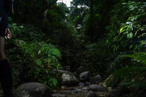 BIB: 
                            <button type="button" onclick="openModal(13649454)" class="btn btn-primary btn-sm float-right btn-popup" data-toggle="modal" data-target=".modal-high-quality">
                        <i class="fas fa-shopping-cart"></i> Add to Cart
                    </button>
                                            <button type="button" onclick="isThisMe(13649454, true)" class="btn btn-success btn-sm float-right btn-popup btn-isme hidden" data-toggle="tooltip" data-placement="bottom" title="นี่คือรูปของคุณใช่ไหม คลิกที่นี่เพื่อเอาเข้าอัลบั้ม">
                        <i class="fas fa-plus"></i> Add to album
                    </button>
                    <button type="button" onclick="isThisMe(13649454, false)" class="btn btn-warning btn-sm float-right btn-popup btn-isnotme hidden">
                        <i class="fas fa-ban"></i> Remove from album
                    </button>