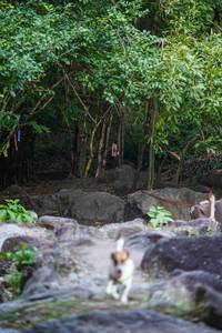 BIB: 
                            <button type="button" onclick="openModal(13703949)" class="btn btn-primary btn-sm float-right btn-popup" data-toggle="modal" data-target=".modal-high-quality">
                        <i class="fas fa-shopping-cart"></i> Add to Cart
                    </button>
                                            <button type="button" onclick="isThisMe(13703949, true)" class="btn btn-success btn-sm float-right btn-popup btn-isme hidden" data-toggle="tooltip" data-placement="bottom" title="นี่คือรูปของคุณใช่ไหม คลิกที่นี่เพื่อเอาเข้าอัลบั้ม">
                        <i class="fas fa-plus"></i> Add to album
                    </button>
                    <button type="button" onclick="isThisMe(13703949, false)" class="btn btn-warning btn-sm float-right btn-popup btn-isnotme hidden">
                        <i class="fas fa-ban"></i> Remove from album
                    </button>