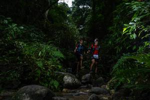 BIB: 
                            <button type="button" onclick="openModal(13645562)" class="btn btn-primary btn-sm float-right btn-popup" data-toggle="modal" data-target=".modal-high-quality">
                        <i class="fas fa-shopping-cart"></i> Add to Cart
                    </button>
                                            <button type="button" onclick="isThisMe(13645562, true)" class="btn btn-success btn-sm float-right btn-popup btn-isme hidden" data-toggle="tooltip" data-placement="bottom" title="นี่คือรูปของคุณใช่ไหม คลิกที่นี่เพื่อเอาเข้าอัลบั้ม">
                        <i class="fas fa-plus"></i> Add to album
                    </button>
                    <button type="button" onclick="isThisMe(13645562, false)" class="btn btn-warning btn-sm float-right btn-popup btn-isnotme hidden">
                        <i class="fas fa-ban"></i> Remove from album
                    </button>