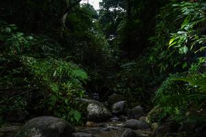 BIB: 
                            <button type="button" onclick="openModal(13647512)" class="btn btn-primary btn-sm float-right btn-popup" data-toggle="modal" data-target=".modal-high-quality">
                        <i class="fas fa-shopping-cart"></i> Add to Cart
                    </button>
                                            <button type="button" onclick="isThisMe(13647512, true)" class="btn btn-success btn-sm float-right btn-popup btn-isme hidden" data-toggle="tooltip" data-placement="bottom" title="นี่คือรูปของคุณใช่ไหม คลิกที่นี่เพื่อเอาเข้าอัลบั้ม">
                        <i class="fas fa-plus"></i> Add to album
                    </button>
                    <button type="button" onclick="isThisMe(13647512, false)" class="btn btn-warning btn-sm float-right btn-popup btn-isnotme hidden">
                        <i class="fas fa-ban"></i> Remove from album
                    </button>