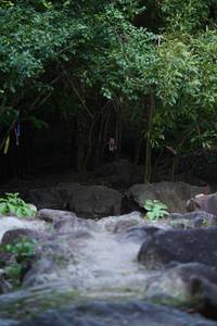 BIB: 
                            <button type="button" onclick="openModal(13661677)" class="btn btn-primary btn-sm float-right btn-popup" data-toggle="modal" data-target=".modal-high-quality">
                        <i class="fas fa-shopping-cart"></i> Add to Cart
                    </button>
                                            <button type="button" onclick="isThisMe(13661677, true)" class="btn btn-success btn-sm float-right btn-popup btn-isme hidden" data-toggle="tooltip" data-placement="bottom" title="นี่คือรูปของคุณใช่ไหม คลิกที่นี่เพื่อเอาเข้าอัลบั้ม">
                        <i class="fas fa-plus"></i> Add to album
                    </button>
                    <button type="button" onclick="isThisMe(13661677, false)" class="btn btn-warning btn-sm float-right btn-popup btn-isnotme hidden">
                        <i class="fas fa-ban"></i> Remove from album
                    </button>