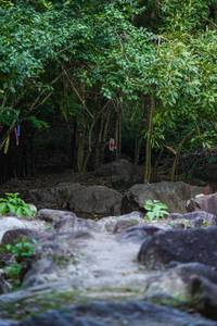 BIB: 
                            <button type="button" onclick="openModal(13702462)" class="btn btn-primary btn-sm float-right btn-popup" data-toggle="modal" data-target=".modal-high-quality">
                        <i class="fas fa-shopping-cart"></i> Add to Cart
                    </button>
                                            <button type="button" onclick="isThisMe(13702462, true)" class="btn btn-success btn-sm float-right btn-popup btn-isme hidden" data-toggle="tooltip" data-placement="bottom" title="นี่คือรูปของคุณใช่ไหม คลิกที่นี่เพื่อเอาเข้าอัลบั้ม">
                        <i class="fas fa-plus"></i> Add to album
                    </button>
                    <button type="button" onclick="isThisMe(13702462, false)" class="btn btn-warning btn-sm float-right btn-popup btn-isnotme hidden">
                        <i class="fas fa-ban"></i> Remove from album
                    </button>