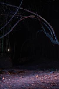 BIB: 
                            <button type="button" onclick="openModal(13684737)" class="btn btn-primary btn-sm float-right btn-popup" data-toggle="modal" data-target=".modal-high-quality">
                        <i class="fas fa-shopping-cart"></i> Add to Cart
                    </button>
                                            <button type="button" onclick="isThisMe(13684737, true)" class="btn btn-success btn-sm float-right btn-popup btn-isme hidden" data-toggle="tooltip" data-placement="bottom" title="นี่คือรูปของคุณใช่ไหม คลิกที่นี่เพื่อเอาเข้าอัลบั้ม">
                        <i class="fas fa-plus"></i> Add to album
                    </button>
                    <button type="button" onclick="isThisMe(13684737, false)" class="btn btn-warning btn-sm float-right btn-popup btn-isnotme hidden">
                        <i class="fas fa-ban"></i> Remove from album
                    </button>