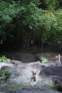 BIB: 
                            <button type="button" onclick="openModal(13662966)" class="btn btn-primary btn-sm float-right btn-popup" data-toggle="modal" data-target=".modal-high-quality">
                        <i class="fas fa-shopping-cart"></i> Add to Cart
                    </button>
                                            <button type="button" onclick="isThisMe(13662966, true)" class="btn btn-success btn-sm float-right btn-popup btn-isme hidden" data-toggle="tooltip" data-placement="bottom" title="นี่คือรูปของคุณใช่ไหม คลิกที่นี่เพื่อเอาเข้าอัลบั้ม">
                        <i class="fas fa-plus"></i> Add to album
                    </button>
                    <button type="button" onclick="isThisMe(13662966, false)" class="btn btn-warning btn-sm float-right btn-popup btn-isnotme hidden">
                        <i class="fas fa-ban"></i> Remove from album
                    </button>