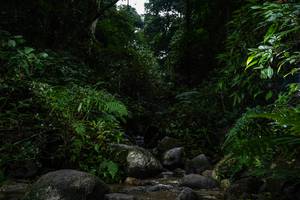 BIB: 
                            <button type="button" onclick="openModal(13647504)" class="btn btn-primary btn-sm float-right btn-popup" data-toggle="modal" data-target=".modal-high-quality">
                        <i class="fas fa-shopping-cart"></i> Add to Cart
                    </button>
                                            <button type="button" onclick="isThisMe(13647504, true)" class="btn btn-success btn-sm float-right btn-popup btn-isme hidden" data-toggle="tooltip" data-placement="bottom" title="นี่คือรูปของคุณใช่ไหม คลิกที่นี่เพื่อเอาเข้าอัลบั้ม">
                        <i class="fas fa-plus"></i> Add to album
                    </button>
                    <button type="button" onclick="isThisMe(13647504, false)" class="btn btn-warning btn-sm float-right btn-popup btn-isnotme hidden">
                        <i class="fas fa-ban"></i> Remove from album
                    </button>