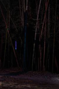 BIB: 
                            <button type="button" onclick="openModal(13690022)" class="btn btn-primary btn-sm float-right btn-popup" data-toggle="modal" data-target=".modal-high-quality">
                        <i class="fas fa-shopping-cart"></i> Add to Cart
                    </button>
                                            <button type="button" onclick="isThisMe(13690022, true)" class="btn btn-success btn-sm float-right btn-popup btn-isme hidden" data-toggle="tooltip" data-placement="bottom" title="นี่คือรูปของคุณใช่ไหม คลิกที่นี่เพื่อเอาเข้าอัลบั้ม">
                        <i class="fas fa-plus"></i> Add to album
                    </button>
                    <button type="button" onclick="isThisMe(13690022, false)" class="btn btn-warning btn-sm float-right btn-popup btn-isnotme hidden">
                        <i class="fas fa-ban"></i> Remove from album
                    </button>