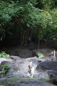 BIB: 
                            <button type="button" onclick="openModal(13662960)" class="btn btn-primary btn-sm float-right btn-popup" data-toggle="modal" data-target=".modal-high-quality">
                        <i class="fas fa-shopping-cart"></i> Add to Cart
                    </button>
                                            <button type="button" onclick="isThisMe(13662960, true)" class="btn btn-success btn-sm float-right btn-popup btn-isme hidden" data-toggle="tooltip" data-placement="bottom" title="นี่คือรูปของคุณใช่ไหม คลิกที่นี่เพื่อเอาเข้าอัลบั้ม">
                        <i class="fas fa-plus"></i> Add to album
                    </button>
                    <button type="button" onclick="isThisMe(13662960, false)" class="btn btn-warning btn-sm float-right btn-popup btn-isnotme hidden">
                        <i class="fas fa-ban"></i> Remove from album
                    </button>