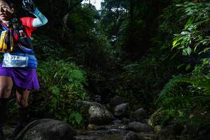 BIB: 
                            <button type="button" onclick="openModal(13650483)" class="btn btn-primary btn-sm float-right btn-popup" data-toggle="modal" data-target=".modal-high-quality">
                        <i class="fas fa-shopping-cart"></i> Add to Cart
                    </button>
                                            <button type="button" onclick="isThisMe(13650483, true)" class="btn btn-success btn-sm float-right btn-popup btn-isme hidden" data-toggle="tooltip" data-placement="bottom" title="นี่คือรูปของคุณใช่ไหม คลิกที่นี่เพื่อเอาเข้าอัลบั้ม">
                        <i class="fas fa-plus"></i> Add to album
                    </button>
                    <button type="button" onclick="isThisMe(13650483, false)" class="btn btn-warning btn-sm float-right btn-popup btn-isnotme hidden">
                        <i class="fas fa-ban"></i> Remove from album
                    </button>