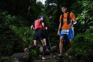 BIB: 
                            <button type="button" onclick="openModal(13646981)" class="btn btn-primary btn-sm float-right btn-popup" data-toggle="modal" data-target=".modal-high-quality">
                        <i class="fas fa-shopping-cart"></i> Add to Cart
                    </button>
                                            <button type="button" onclick="isThisMe(13646981, true)" class="btn btn-success btn-sm float-right btn-popup btn-isme hidden" data-toggle="tooltip" data-placement="bottom" title="นี่คือรูปของคุณใช่ไหม คลิกที่นี่เพื่อเอาเข้าอัลบั้ม">
                        <i class="fas fa-plus"></i> Add to album
                    </button>
                    <button type="button" onclick="isThisMe(13646981, false)" class="btn btn-warning btn-sm float-right btn-popup btn-isnotme hidden">
                        <i class="fas fa-ban"></i> Remove from album
                    </button>