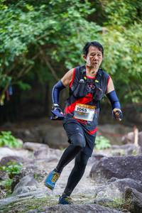 BIB: 
                            <button type="button" onclick="openModal(13705101)" class="btn btn-primary btn-sm float-right btn-popup" data-toggle="modal" data-target=".modal-high-quality">
                        <i class="fas fa-shopping-cart"></i> Add to Cart
                    </button>
                                            <button type="button" onclick="isThisMe(13705101, true)" class="btn btn-success btn-sm float-right btn-popup btn-isme hidden" data-toggle="tooltip" data-placement="bottom" title="นี่คือรูปของคุณใช่ไหม คลิกที่นี่เพื่อเอาเข้าอัลบั้ม">
                        <i class="fas fa-plus"></i> Add to album
                    </button>
                    <button type="button" onclick="isThisMe(13705101, false)" class="btn btn-warning btn-sm float-right btn-popup btn-isnotme hidden">
                        <i class="fas fa-ban"></i> Remove from album
                    </button>