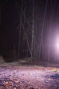 BIB: 
                            <button type="button" onclick="openModal(13686981)" class="btn btn-primary btn-sm float-right btn-popup" data-toggle="modal" data-target=".modal-high-quality">
                        <i class="fas fa-shopping-cart"></i> Add to Cart
                    </button>
                                            <button type="button" onclick="isThisMe(13686981, true)" class="btn btn-success btn-sm float-right btn-popup btn-isme hidden" data-toggle="tooltip" data-placement="bottom" title="นี่คือรูปของคุณใช่ไหม คลิกที่นี่เพื่อเอาเข้าอัลบั้ม">
                        <i class="fas fa-plus"></i> Add to album
                    </button>
                    <button type="button" onclick="isThisMe(13686981, false)" class="btn btn-warning btn-sm float-right btn-popup btn-isnotme hidden">
                        <i class="fas fa-ban"></i> Remove from album
                    </button>