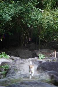 BIB: 
                            <button type="button" onclick="openModal(13662954)" class="btn btn-primary btn-sm float-right btn-popup" data-toggle="modal" data-target=".modal-high-quality">
                        <i class="fas fa-shopping-cart"></i> Add to Cart
                    </button>
                                            <button type="button" onclick="isThisMe(13662954, true)" class="btn btn-success btn-sm float-right btn-popup btn-isme hidden" data-toggle="tooltip" data-placement="bottom" title="นี่คือรูปของคุณใช่ไหม คลิกที่นี่เพื่อเอาเข้าอัลบั้ม">
                        <i class="fas fa-plus"></i> Add to album
                    </button>
                    <button type="button" onclick="isThisMe(13662954, false)" class="btn btn-warning btn-sm float-right btn-popup btn-isnotme hidden">
                        <i class="fas fa-ban"></i> Remove from album
                    </button>