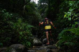 BIB: 
                            <button type="button" onclick="openModal(13644510)" class="btn btn-primary btn-sm float-right btn-popup" data-toggle="modal" data-target=".modal-high-quality">
                        <i class="fas fa-shopping-cart"></i> Add to Cart
                    </button>
                                            <button type="button" onclick="isThisMe(13644510, true)" class="btn btn-success btn-sm float-right btn-popup btn-isme hidden" data-toggle="tooltip" data-placement="bottom" title="นี่คือรูปของคุณใช่ไหม คลิกที่นี่เพื่อเอาเข้าอัลบั้ม">
                        <i class="fas fa-plus"></i> Add to album
                    </button>
                    <button type="button" onclick="isThisMe(13644510, false)" class="btn btn-warning btn-sm float-right btn-popup btn-isnotme hidden">
                        <i class="fas fa-ban"></i> Remove from album
                    </button>