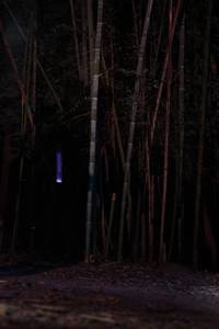 BIB: 
                            <button type="button" onclick="openModal(13690017)" class="btn btn-primary btn-sm float-right btn-popup" data-toggle="modal" data-target=".modal-high-quality">
                        <i class="fas fa-shopping-cart"></i> Add to Cart
                    </button>
                                            <button type="button" onclick="isThisMe(13690017, true)" class="btn btn-success btn-sm float-right btn-popup btn-isme hidden" data-toggle="tooltip" data-placement="bottom" title="นี่คือรูปของคุณใช่ไหม คลิกที่นี่เพื่อเอาเข้าอัลบั้ม">
                        <i class="fas fa-plus"></i> Add to album
                    </button>
                    <button type="button" onclick="isThisMe(13690017, false)" class="btn btn-warning btn-sm float-right btn-popup btn-isnotme hidden">
                        <i class="fas fa-ban"></i> Remove from album
                    </button>