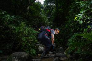 BIB: 
                            <button type="button" onclick="openModal(13644918)" class="btn btn-primary btn-sm float-right btn-popup" data-toggle="modal" data-target=".modal-high-quality">
                        <i class="fas fa-shopping-cart"></i> Add to Cart
                    </button>
                                            <button type="button" onclick="isThisMe(13644918, true)" class="btn btn-success btn-sm float-right btn-popup btn-isme hidden" data-toggle="tooltip" data-placement="bottom" title="นี่คือรูปของคุณใช่ไหม คลิกที่นี่เพื่อเอาเข้าอัลบั้ม">
                        <i class="fas fa-plus"></i> Add to album
                    </button>
                    <button type="button" onclick="isThisMe(13644918, false)" class="btn btn-warning btn-sm float-right btn-popup btn-isnotme hidden">
                        <i class="fas fa-ban"></i> Remove from album
                    </button>