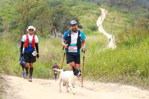 BIB: 
                            <button type="button" onclick="openModal(13554240)" class="btn btn-primary btn-sm float-right btn-popup" data-toggle="modal" data-target=".modal-high-quality">
                        <i class="fas fa-shopping-cart"></i> Add to Cart
                    </button>
                                            <button type="button" onclick="isThisMe(13554240, true)" class="btn btn-success btn-sm float-right btn-popup btn-isme hidden" data-toggle="tooltip" data-placement="bottom" title="นี่คือรูปของคุณใช่ไหม คลิกที่นี่เพื่อเอาเข้าอัลบั้ม">
                        <i class="fas fa-plus"></i> Add to album
                    </button>
                    <button type="button" onclick="isThisMe(13554240, false)" class="btn btn-warning btn-sm float-right btn-popup btn-isnotme hidden">
                        <i class="fas fa-ban"></i> Remove from album
                    </button>