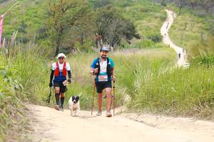 BIB: 
                            <button type="button" onclick="openModal(13554234)" class="btn btn-primary btn-sm float-right btn-popup" data-toggle="modal" data-target=".modal-high-quality">
                        <i class="fas fa-shopping-cart"></i> Add to Cart
                    </button>
                                            <button type="button" onclick="isThisMe(13554234, true)" class="btn btn-success btn-sm float-right btn-popup btn-isme hidden" data-toggle="tooltip" data-placement="bottom" title="นี่คือรูปของคุณใช่ไหม คลิกที่นี่เพื่อเอาเข้าอัลบั้ม">
                        <i class="fas fa-plus"></i> Add to album
                    </button>
                    <button type="button" onclick="isThisMe(13554234, false)" class="btn btn-warning btn-sm float-right btn-popup btn-isnotme hidden">
                        <i class="fas fa-ban"></i> Remove from album
                    </button>