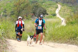 BIB: 
                            <button type="button" onclick="openModal(13554238)" class="btn btn-primary btn-sm float-right btn-popup" data-toggle="modal" data-target=".modal-high-quality">
                        <i class="fas fa-shopping-cart"></i> Add to Cart
                    </button>
                                            <button type="button" onclick="isThisMe(13554238, true)" class="btn btn-success btn-sm float-right btn-popup btn-isme hidden" data-toggle="tooltip" data-placement="bottom" title="นี่คือรูปของคุณใช่ไหม คลิกที่นี่เพื่อเอาเข้าอัลบั้ม">
                        <i class="fas fa-plus"></i> Add to album
                    </button>
                    <button type="button" onclick="isThisMe(13554238, false)" class="btn btn-warning btn-sm float-right btn-popup btn-isnotme hidden">
                        <i class="fas fa-ban"></i> Remove from album
                    </button>