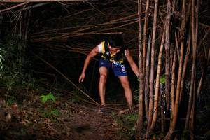 BIB: 
                            <button type="button" onclick="openModal(13556146)" class="btn btn-primary btn-sm float-right btn-popup" data-toggle="modal" data-target=".modal-high-quality">
                        <i class="fas fa-shopping-cart"></i> Add to Cart
                    </button>
                                            <button type="button" onclick="isThisMe(13556146, true)" class="btn btn-success btn-sm float-right btn-popup btn-isme hidden" data-toggle="tooltip" data-placement="bottom" title="นี่คือรูปของคุณใช่ไหม คลิกที่นี่เพื่อเอาเข้าอัลบั้ม">
                        <i class="fas fa-plus"></i> Add to album
                    </button>
                    <button type="button" onclick="isThisMe(13556146, false)" class="btn btn-warning btn-sm float-right btn-popup btn-isnotme hidden">
                        <i class="fas fa-ban"></i> Remove from album
                    </button>