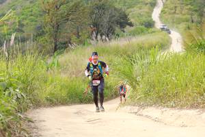 BIB: 
                            <button type="button" onclick="openModal(13555797)" class="btn btn-primary btn-sm float-right btn-popup" data-toggle="modal" data-target=".modal-high-quality">
                        <i class="fas fa-shopping-cart"></i> Add to Cart
                    </button>
                                            <button type="button" onclick="isThisMe(13555797, true)" class="btn btn-success btn-sm float-right btn-popup btn-isme hidden" data-toggle="tooltip" data-placement="bottom" title="นี่คือรูปของคุณใช่ไหม คลิกที่นี่เพื่อเอาเข้าอัลบั้ม">
                        <i class="fas fa-plus"></i> Add to album
                    </button>
                    <button type="button" onclick="isThisMe(13555797, false)" class="btn btn-warning btn-sm float-right btn-popup btn-isnotme hidden">
                        <i class="fas fa-ban"></i> Remove from album
                    </button>